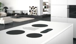 Modulo placa induccion