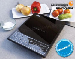 Practical technology placa induccion